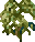 Herbs