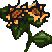 Quizer Fiore