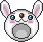 Rabbit Head
