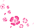 Pink Flower Cape