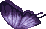 Butterfly Wings