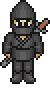 Black Mountain Robber