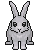 Mad Rabbit