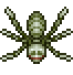 Bee Chung