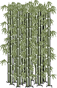 Daenamu