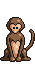 Beach Monkey