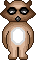 Racoon