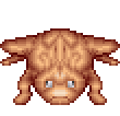 Big Frog