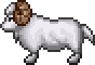 Rammie