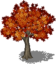 Oak Tree