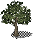 Tutorial Tree