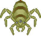 Blood Ticks